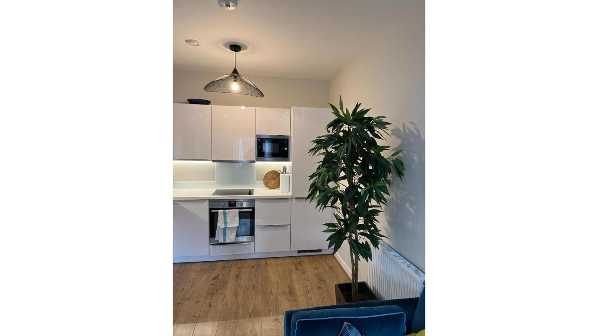 Fantastic Modern 2 Bedroom Flat In Lambeth Лондон Экстерьер фото
